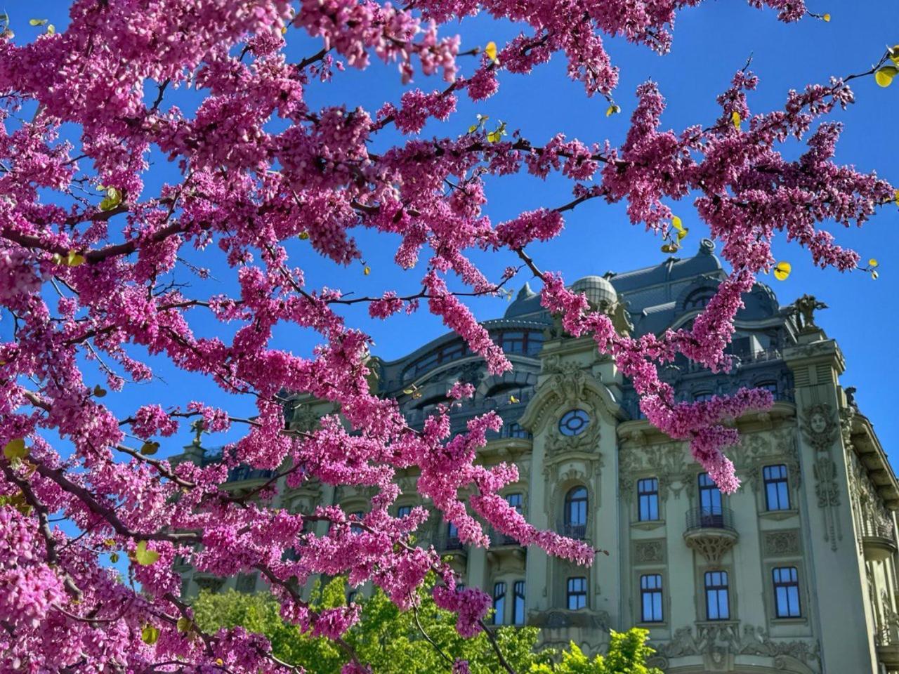 Hotel Domik Na Fontane Odesa Exterior foto